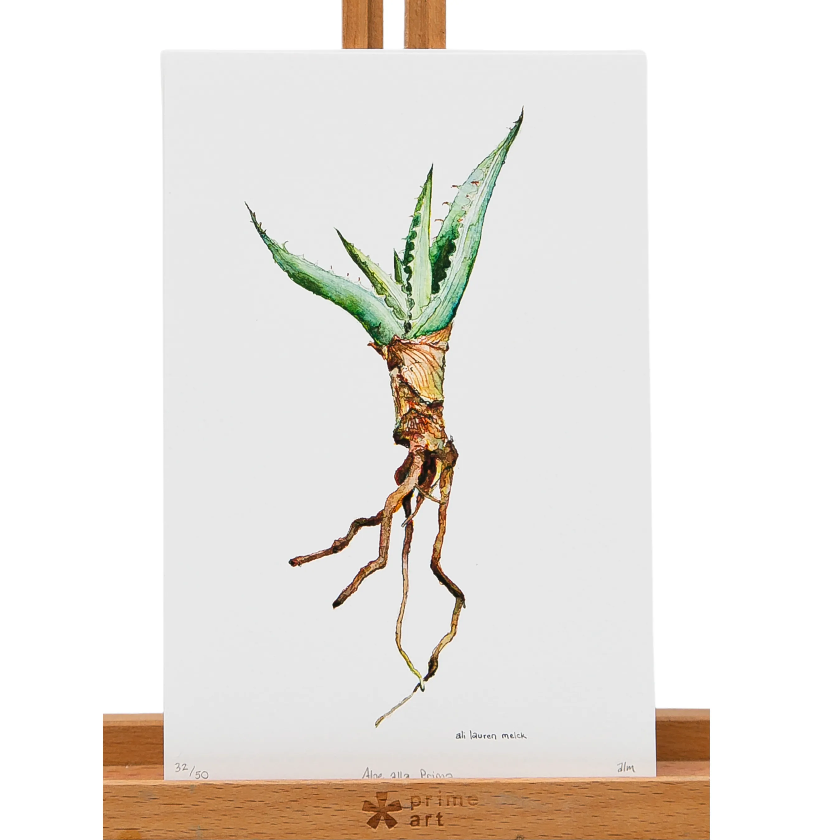 Aloe alla Prima-Limited Edition Print