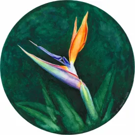 Bird of Paradise- Limited Edition Print