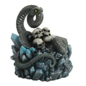 Box - Snake Skull Mount