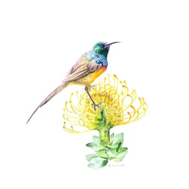 High Gold-Limited Edition Print