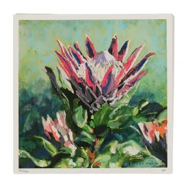 Honeypot Protea Small-15X15cm