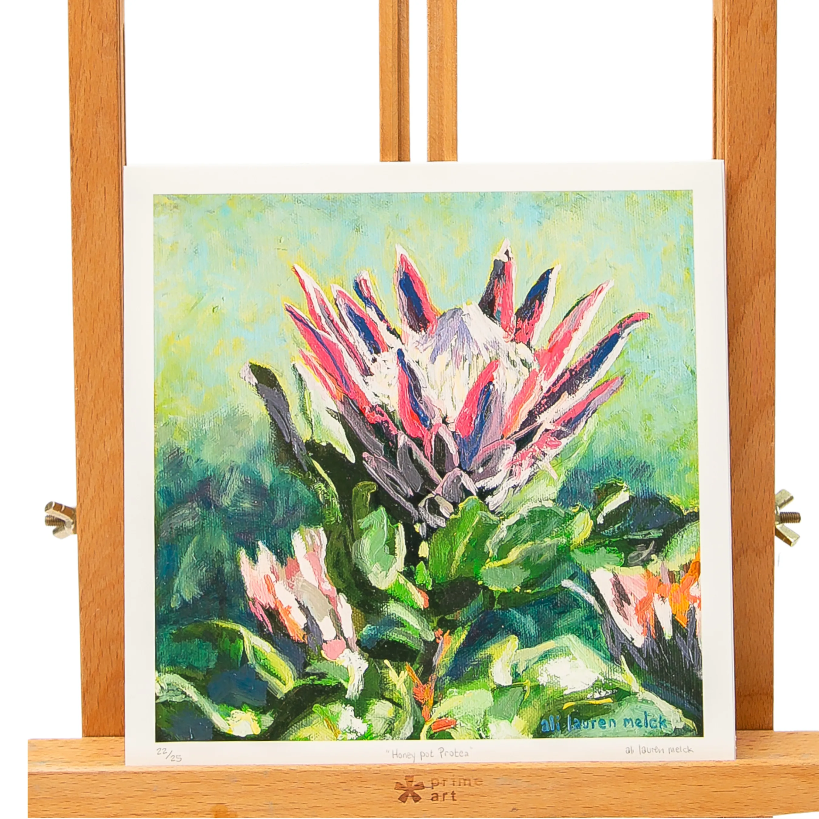 Honeypot Protea Small-15X15cm