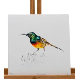 Iridescence-15X15cm-Limited Edition Art