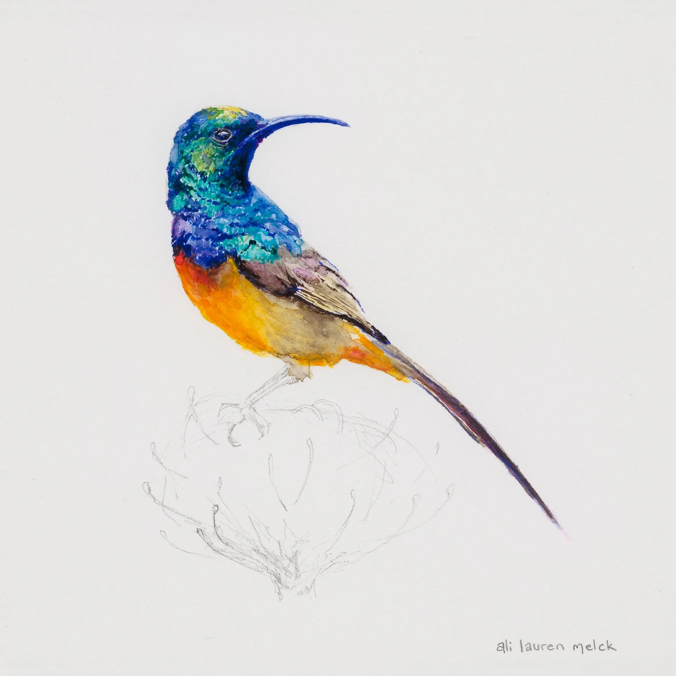 Iridescence || - 15X15cm-Limited Edition