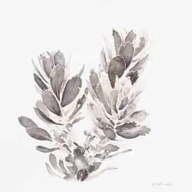 Kirstenbosch Autumn-Limited Edition Art