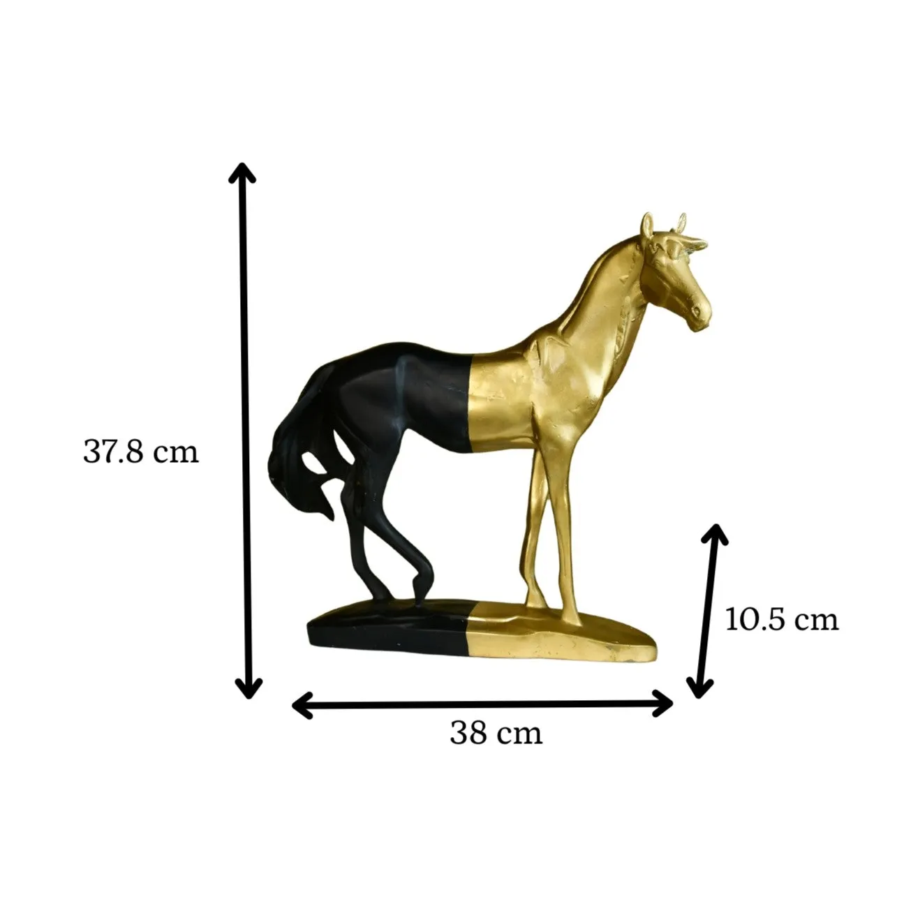 Mayii Black Gold Stallion