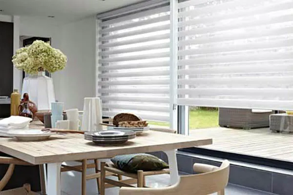 Vision Blinds
