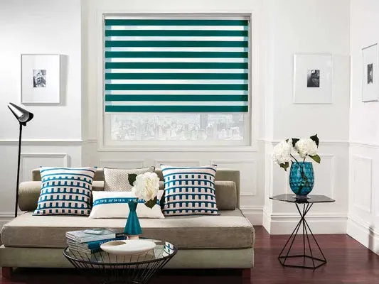 Vision Blinds