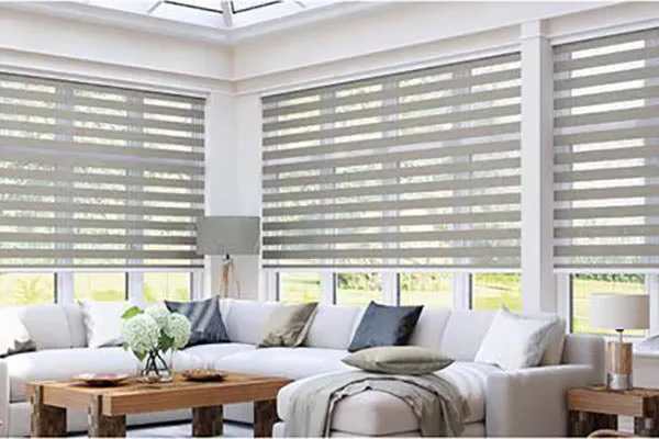 Vision Blinds