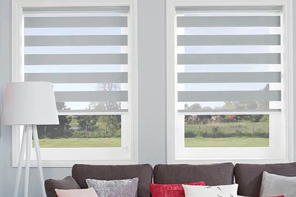 Vision Blinds