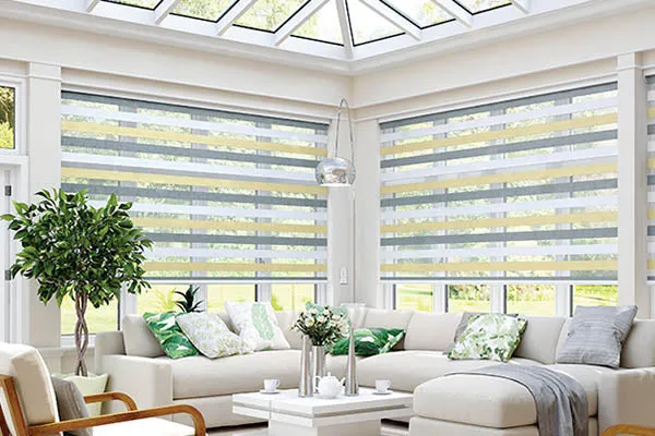 Vision Blinds