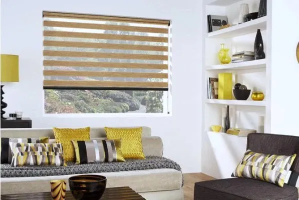 Vision Blinds