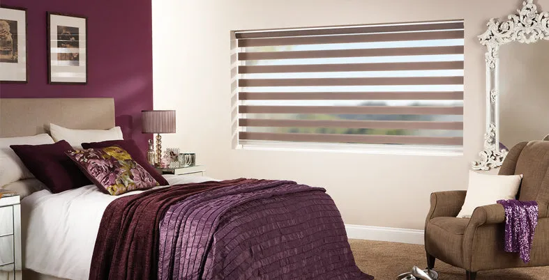 Vision Blinds