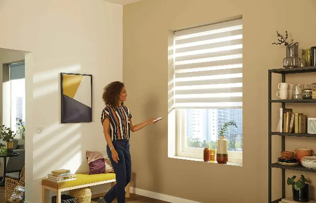 Vision Blinds