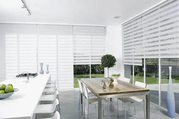 Vision Blinds